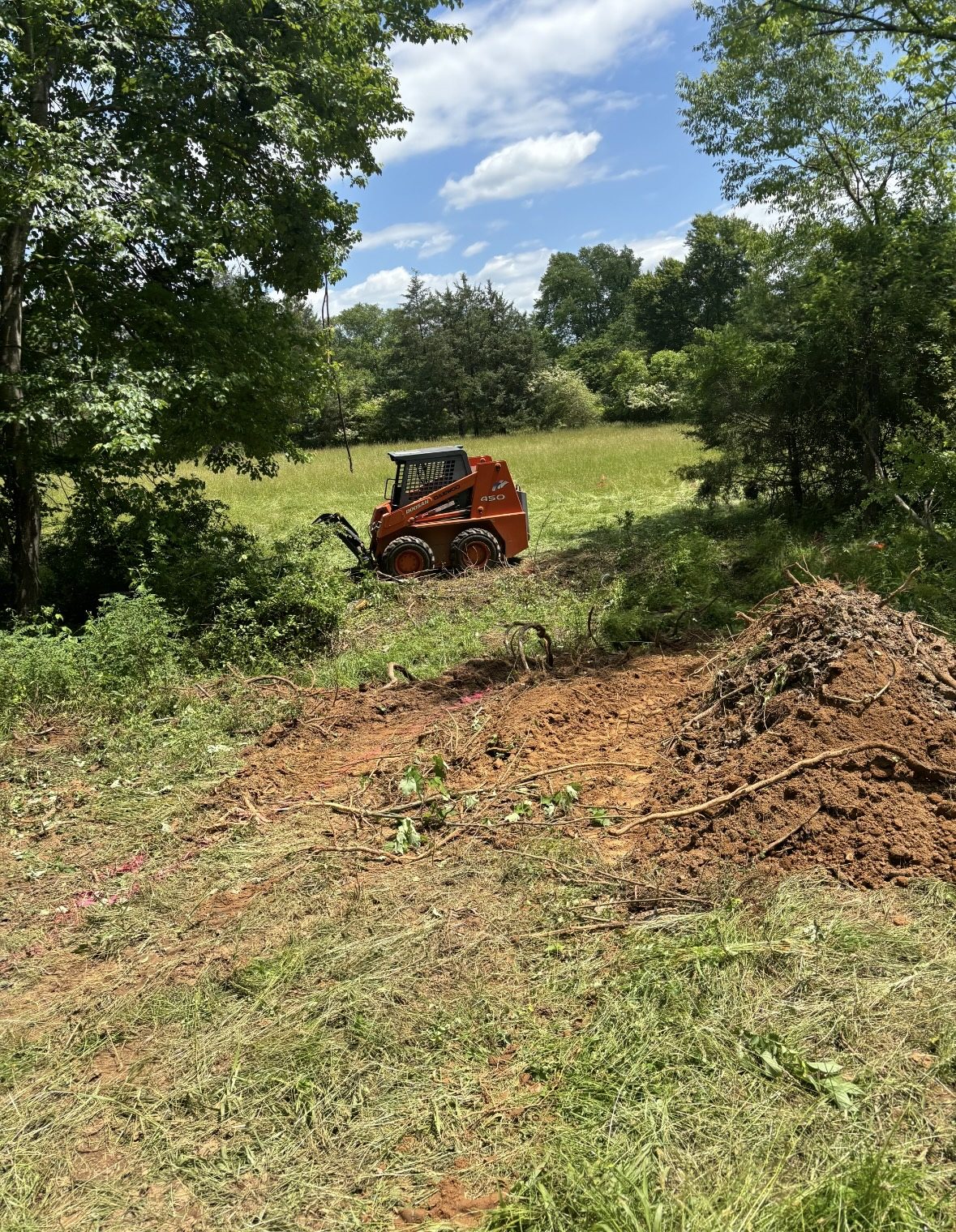 Brush-cleared path for cattle crossing