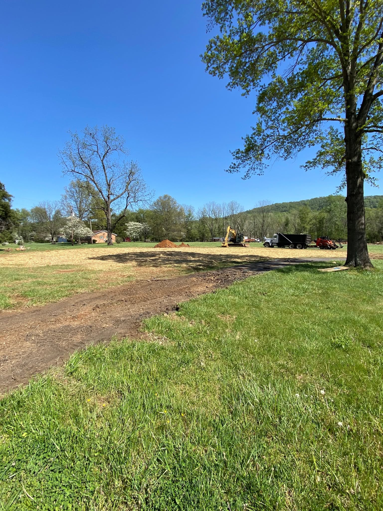 After: cleared and graded building lot